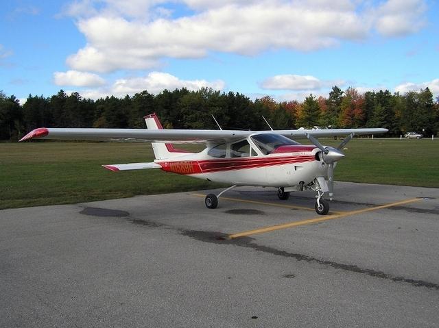 CardinalN1589H (800x599)