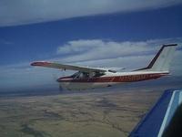 CardinalN1589H (1) (800x600)